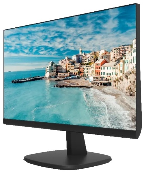 Hikvision DS-D5024FN(M) черный