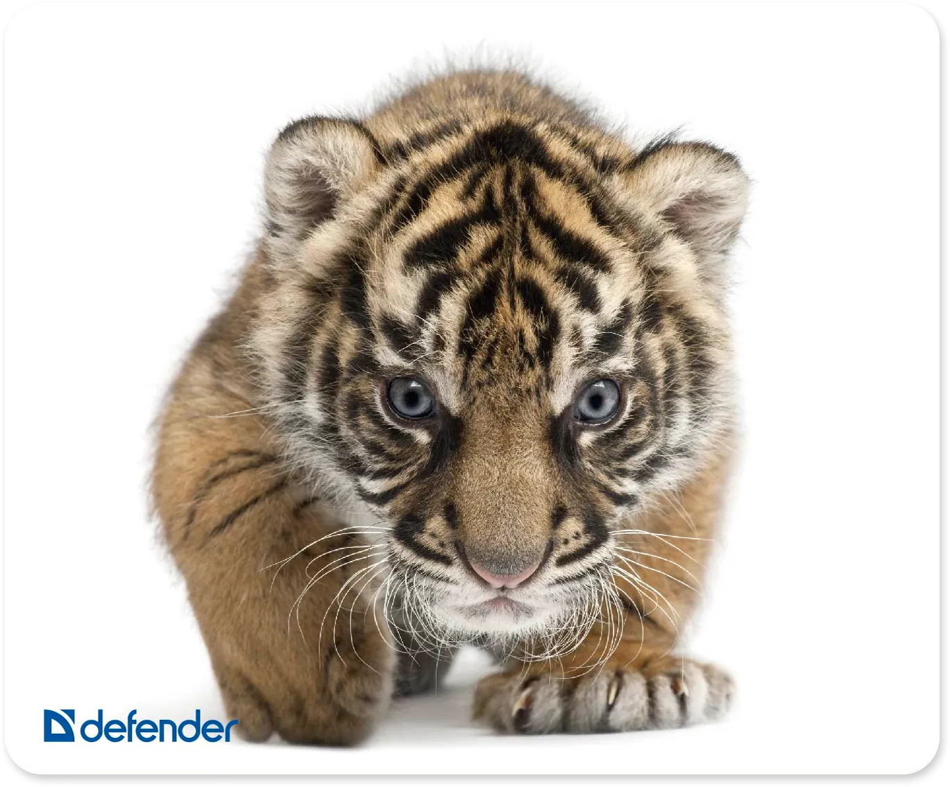 Defender Silk 50706/50707