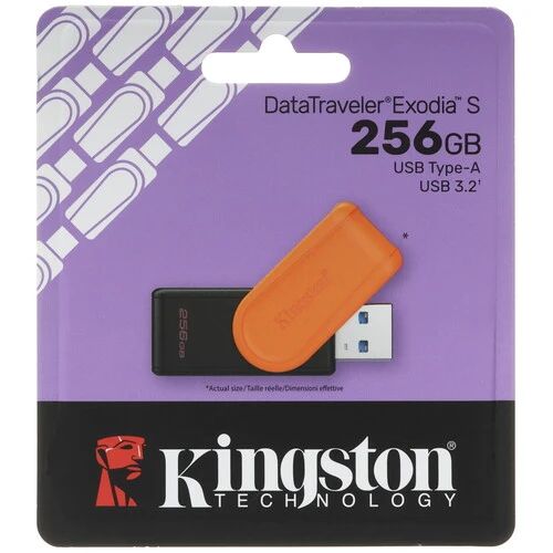 Flash-накопитель Kingston DTXS/256GB