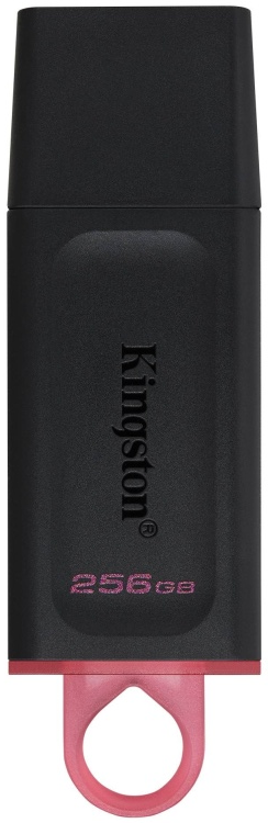 Kingston DTX/256GB 256 Гб