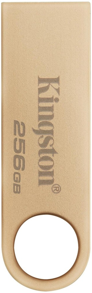 Kingston DataTraveler SE9 G3 DTSE9G3 256GB 256 Гб