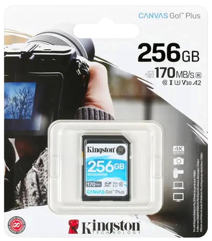 Kingston SDG3/256GB 256GB