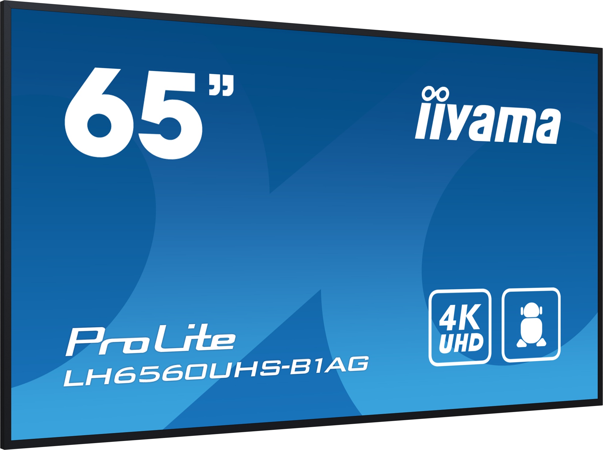 Монитор iiyama LH6560UHS-B1AG