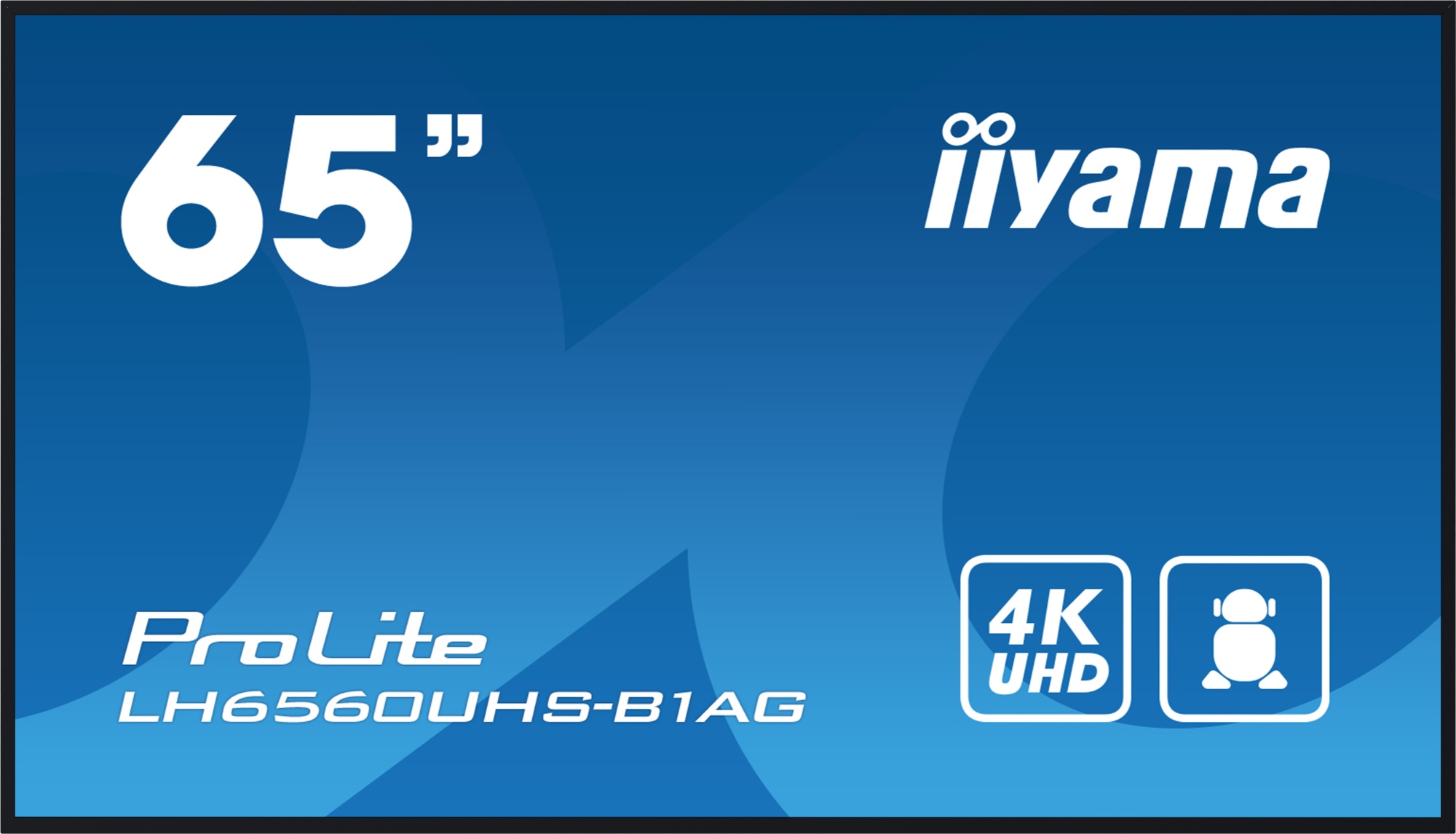 Монитор iiyama LH6560UHS-B1AG